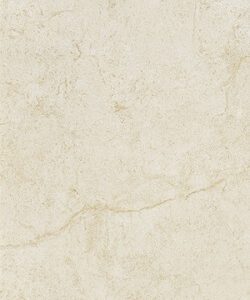 CM3601 [12×24] Crema Marfil