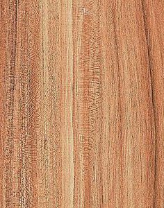 K6901 – Wood Tile Product Elloit Maple