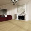 Modern living room with elegant decor
