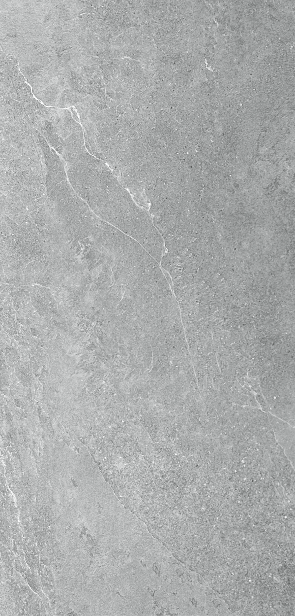 JH12052 Elementi gridgio 24×48 matt