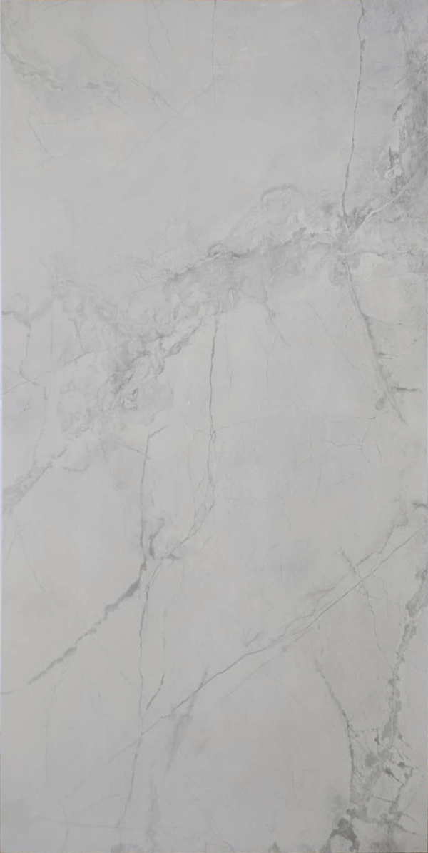KR6012018 [24X48] Camellia Winter Grey honed