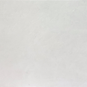 TE12602 CAMILIA cloude 24×48 matt