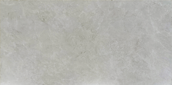 TE12606 CAMILIA Smoke Grey 24×48 matt