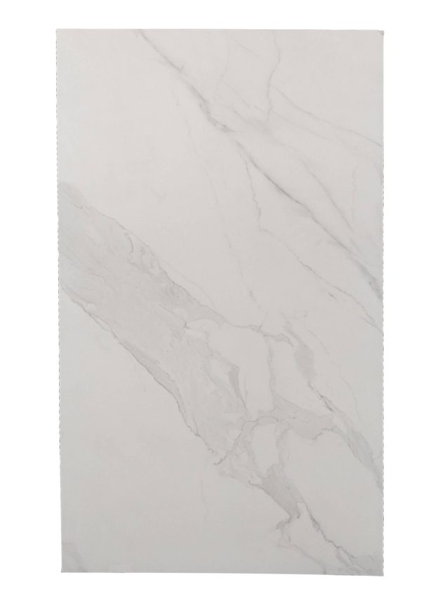 TE12611 [24X48] Camelia Snow Matt