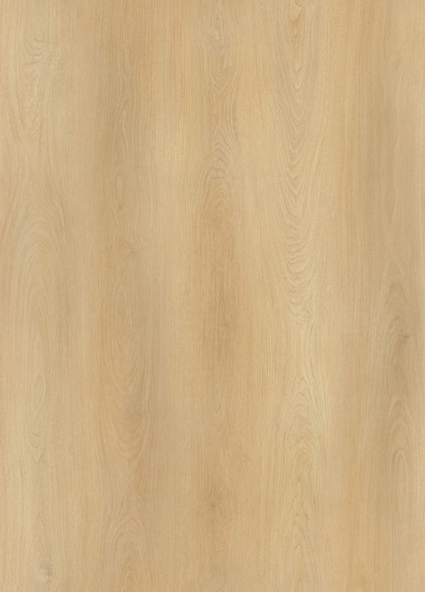 AP5501 Kara - Image 2