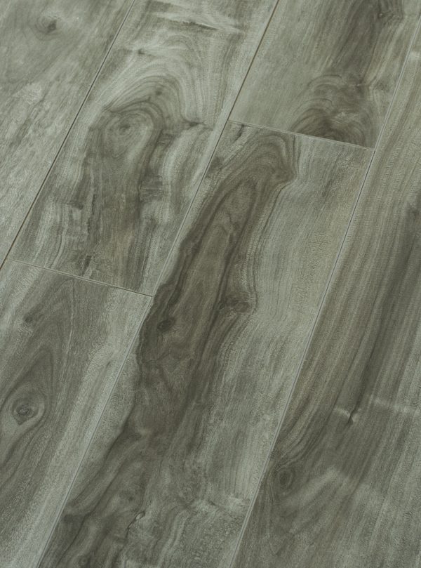 Silver Maple - Image 2