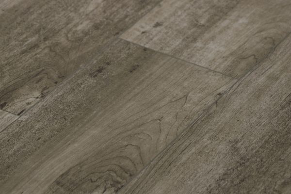 Somerset - Image 2