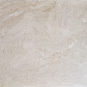 DN36231 [12×24] DINO LIGHT MATTE
