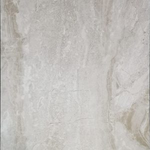 DN36331 [12×24] Dino Light