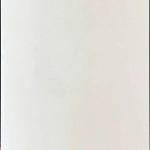 Porcelain Tiles IS3900 ISABELLA CLEAR WHITE bathroom Oakville