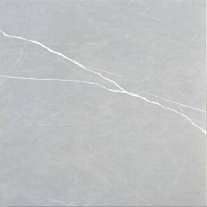 Porcelain Tiles TE36627R [12×24] Camelia Gris (matt) living room Oakville